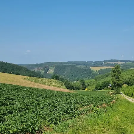 Waldhaus Wangen *