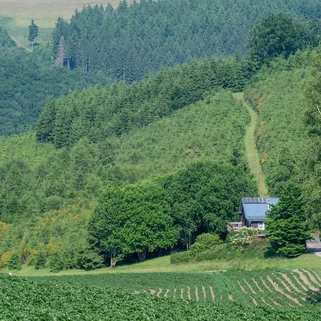 Waldhaus Wangen Burg Reuland