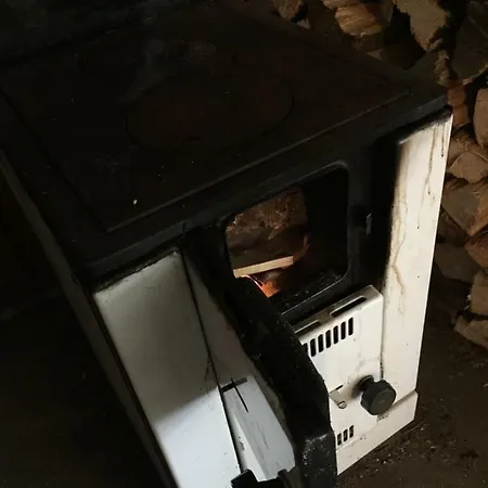 Ferienhaus Waldhaus Wangen